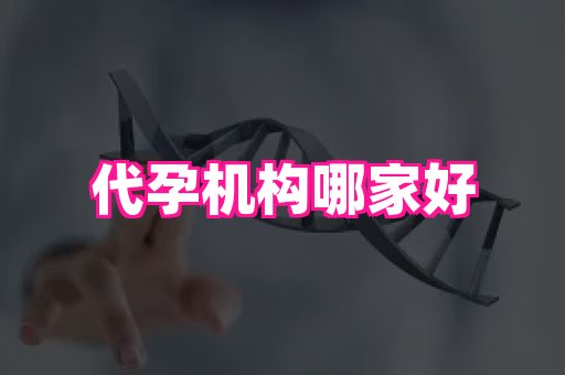 幸孕 4